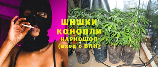 сатива Армянск