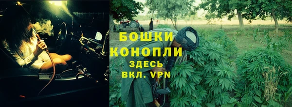 сатива Армянск